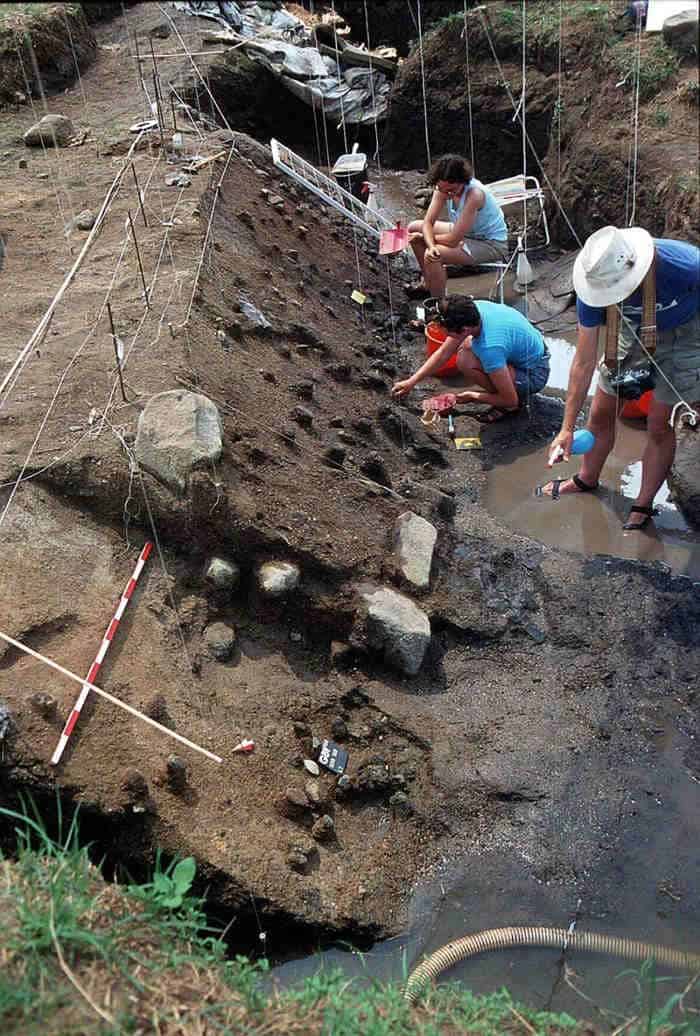 Archaeologist excavation