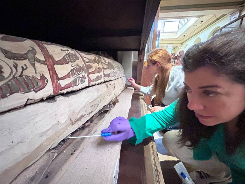 A woman takes a swab from ancient egyptian mummies.