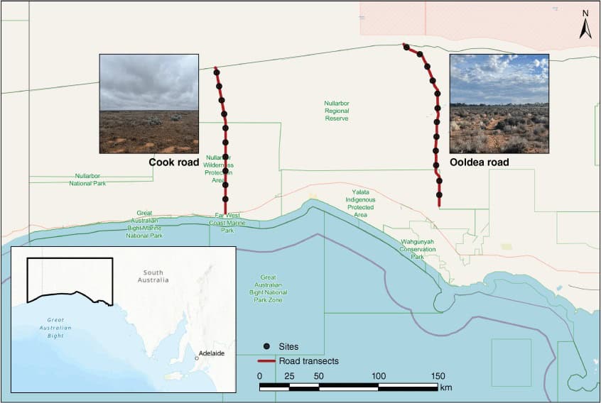 Map showing roads in south australia