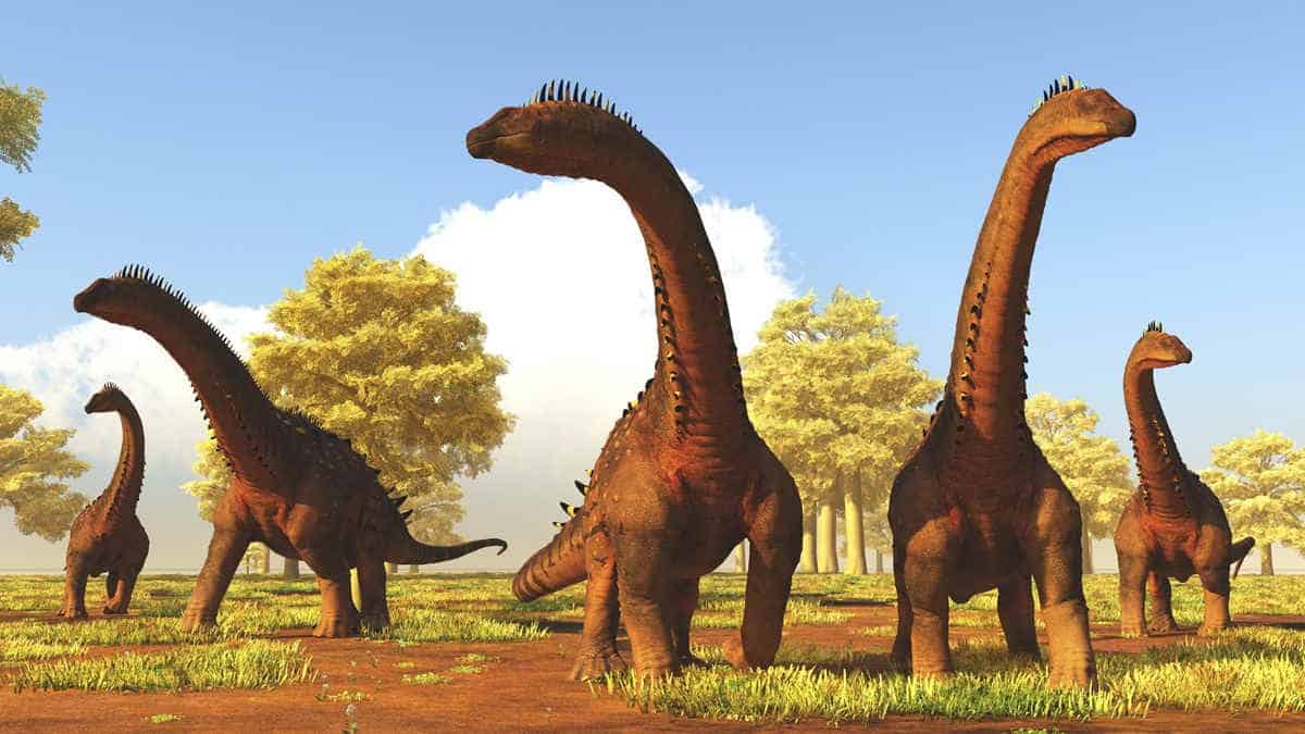 Herd of long necked sauropod dinosaurs