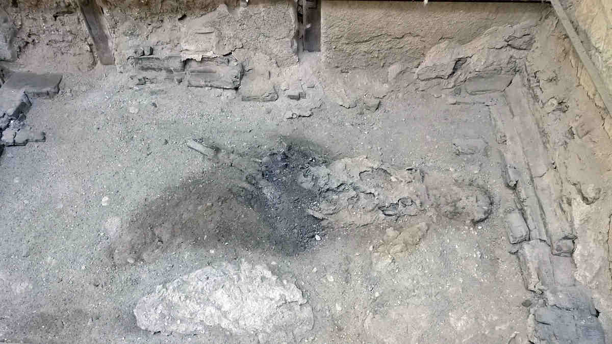 Charred remains of ancient human in herculaneum