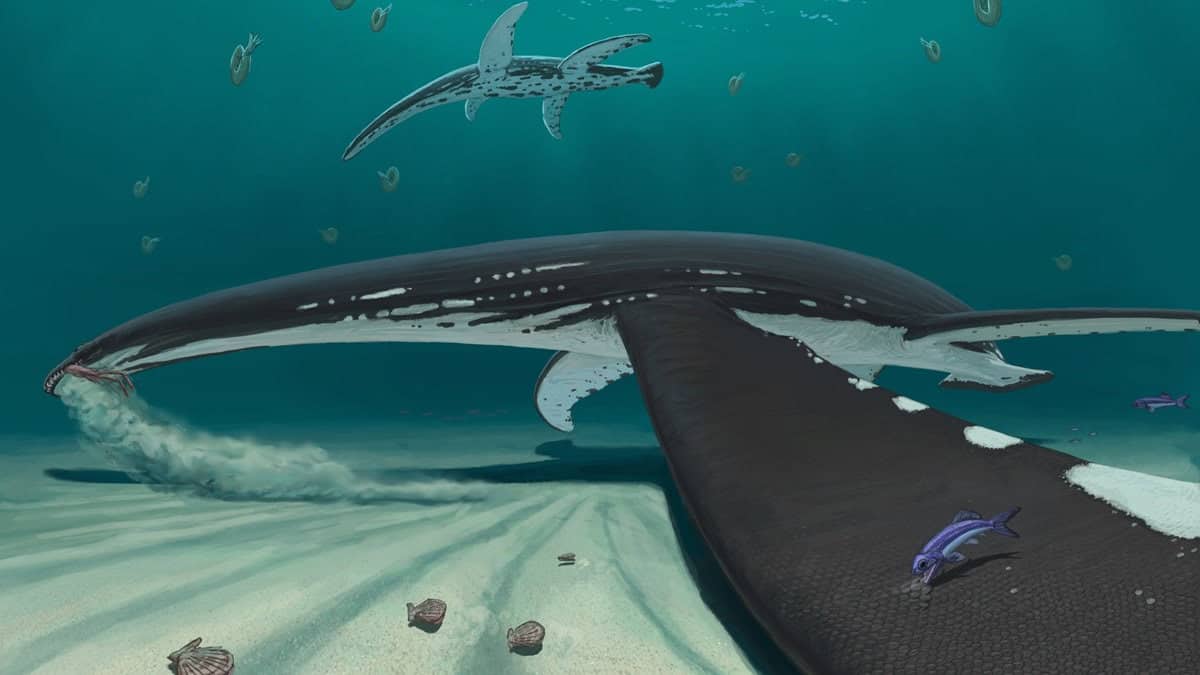 Reconstruction of plesiosaur close up of flipper showing scales