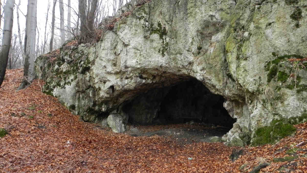 Entrance to a cave in europe forest