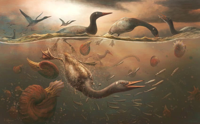 An illustration of a duck-like bird diving below the water in pursuit of fish. It is surrounded by other late-cretaceous aquatic animals