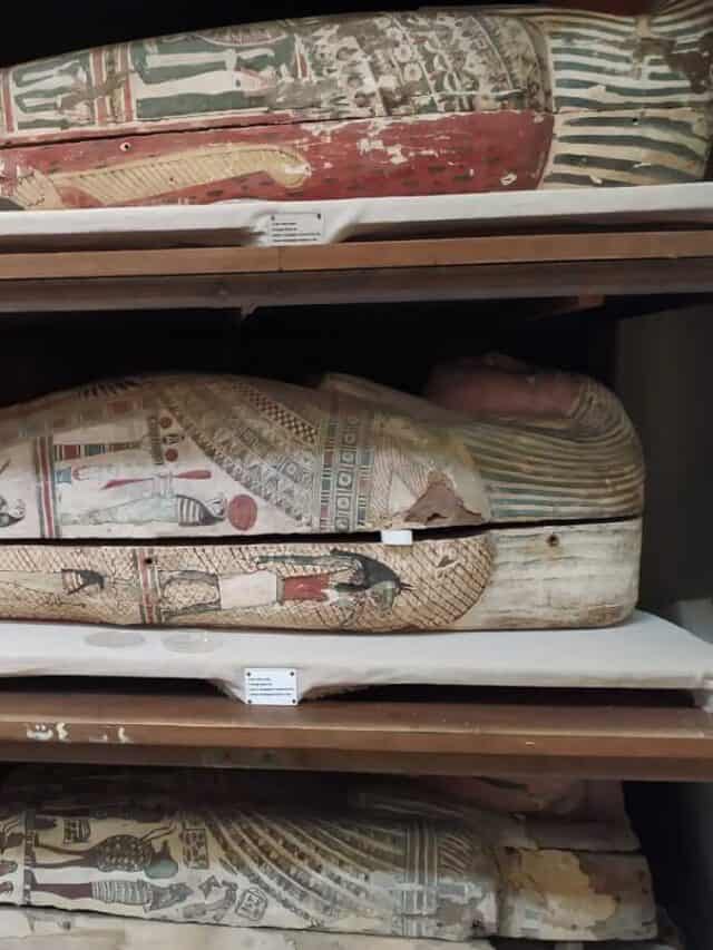 Unexpected scent of Egyptian mummies