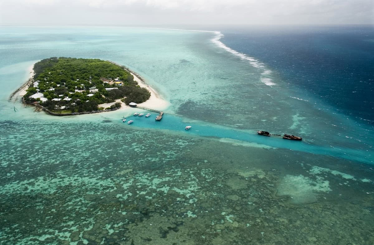 Coral at Heron Island