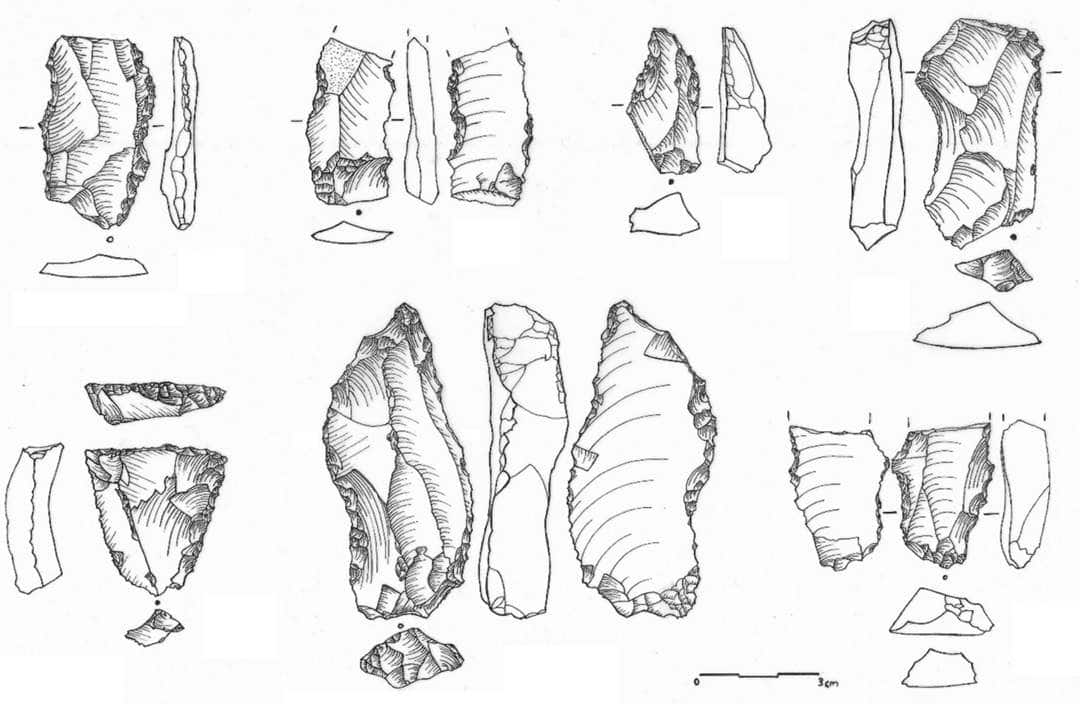 Drawings of ancient human stone blade tools