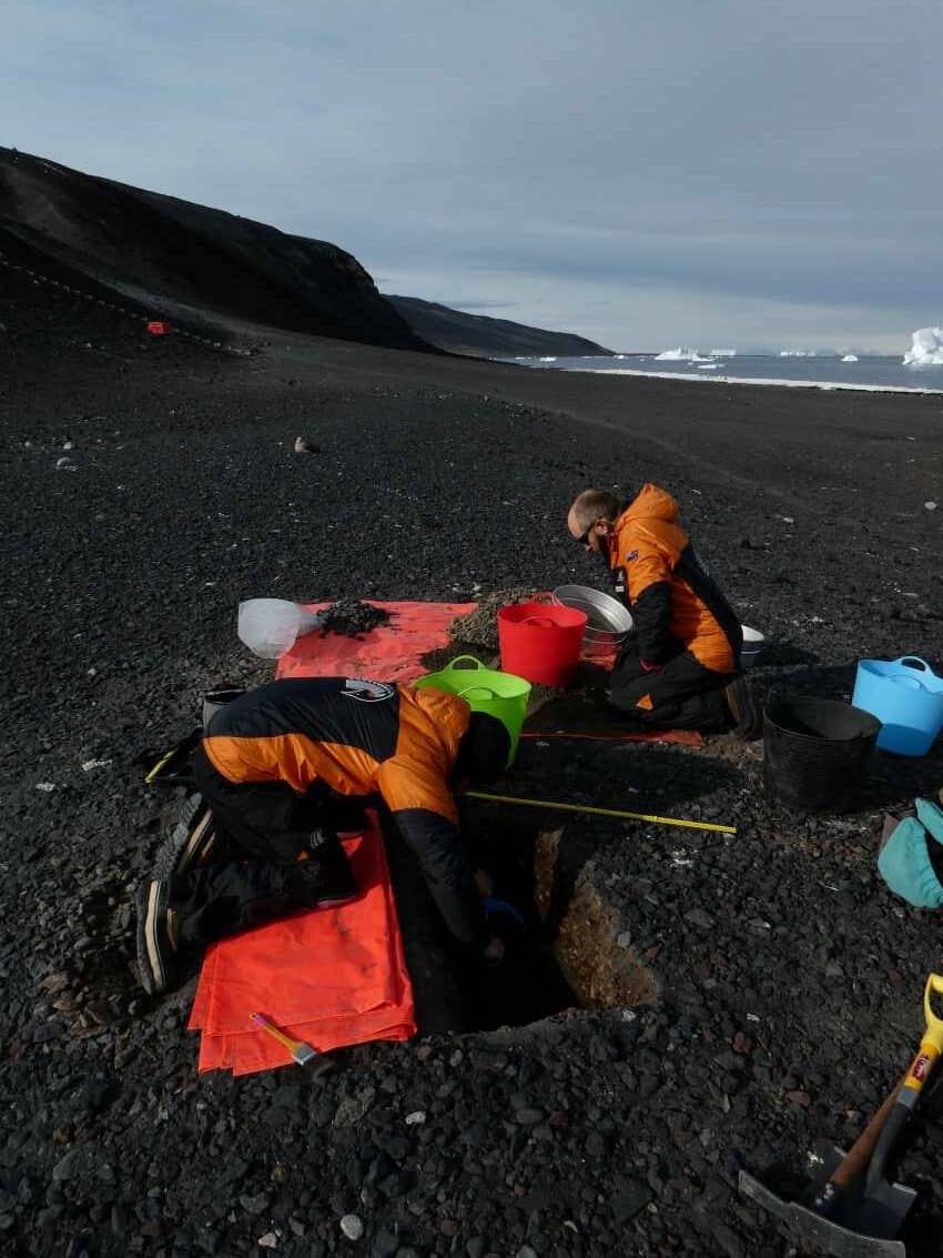 Excavation near Cape penguin colony, Ross Island: Credit: Jamie Wood