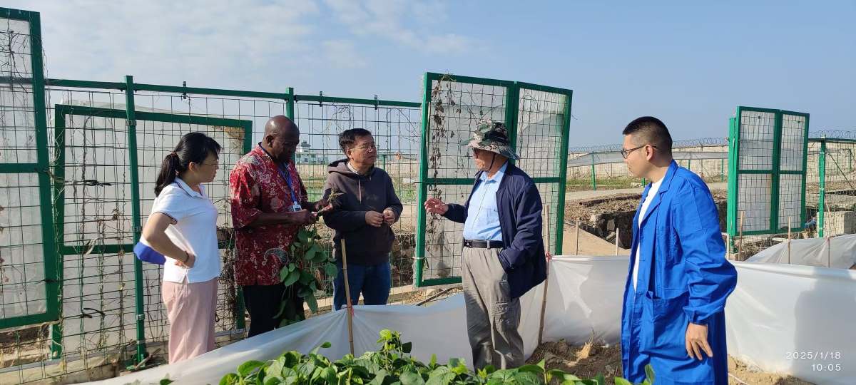 Felix Dakora and his crop research team (Supplied: F Dakora)