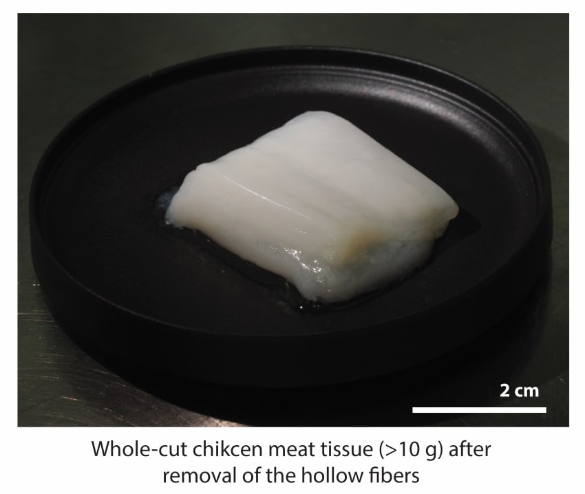 A chunk of white meat on a black plate