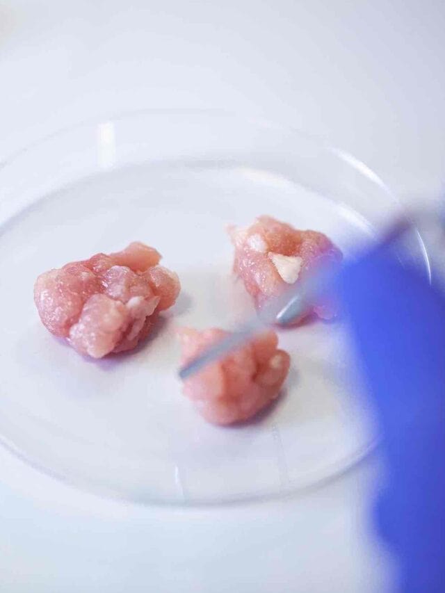 Lab-grown chicken nuggets, coming right up