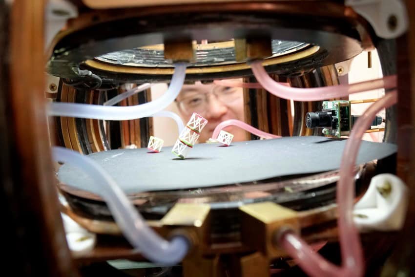 A man peers into a device holding small cage-like objects which are tumbling about