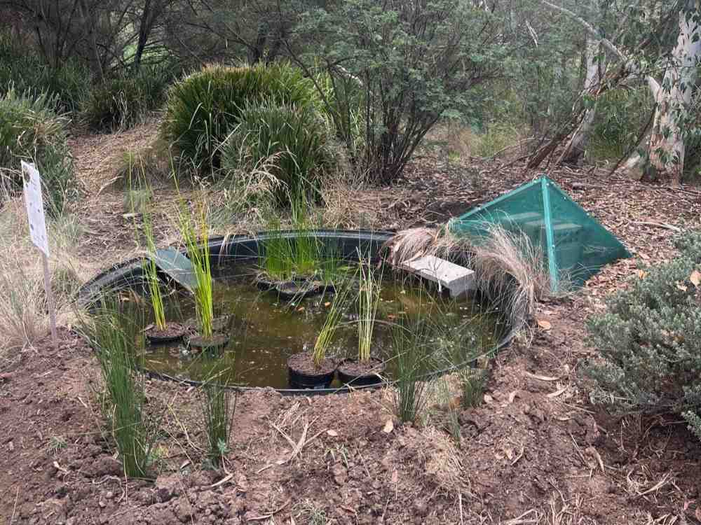 Circular pond and green pyramid in australian bush