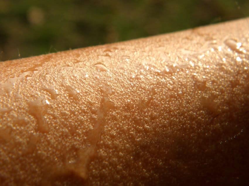 Sweat covered skin