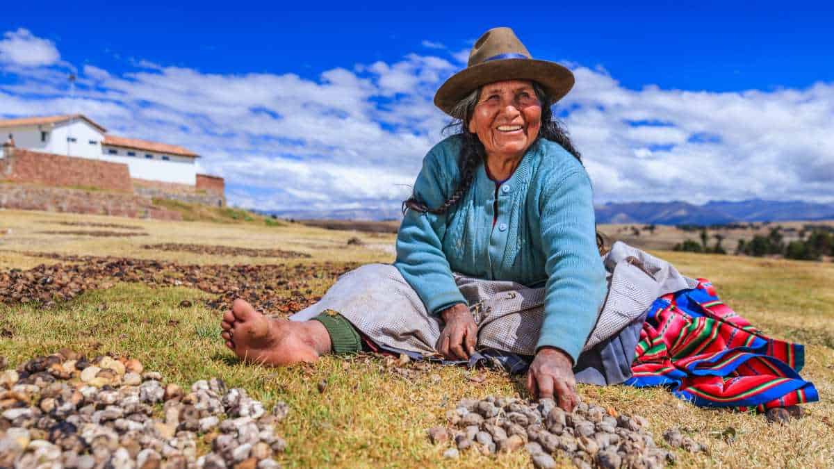 Peruvian woman sitting preparing freeze dried potato in andes