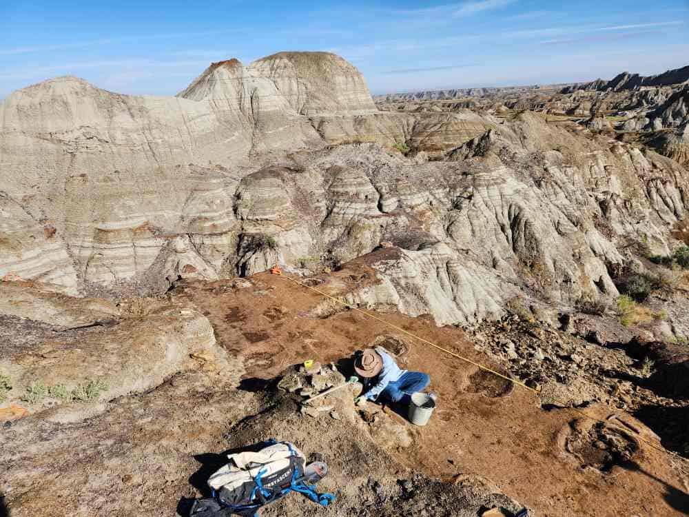 Palaeontologist in blue shirt and hat excavating site in mountains