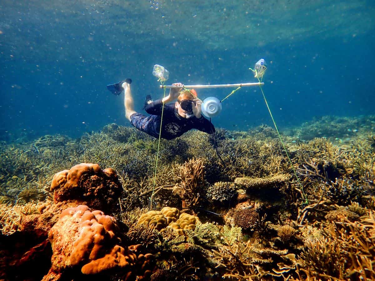 Skin diver on reef with loudspeaker on frame.