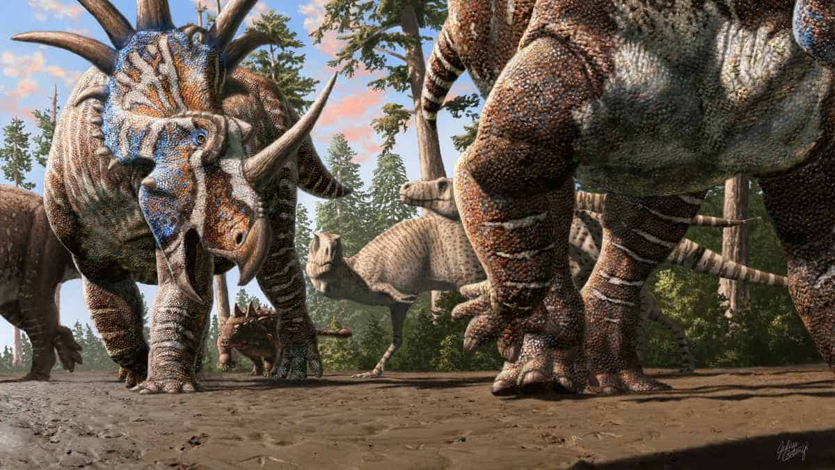 Art of horned dinosaurs walking in mud with meat eaters behind