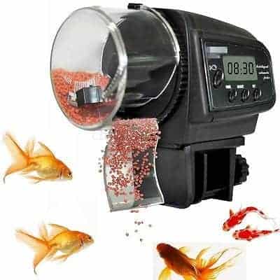 מאכיל הדגים האוטומטי - לגדל דגים ללא דאגות