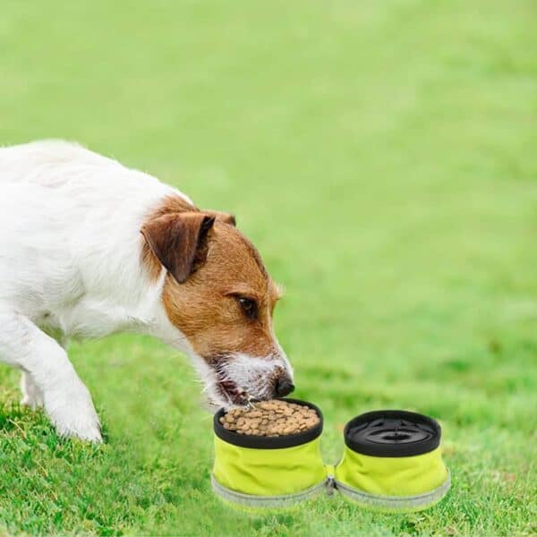 קערות מתקפלות וניידות לכלב- גם לאוכל וגם לשתייה! 5