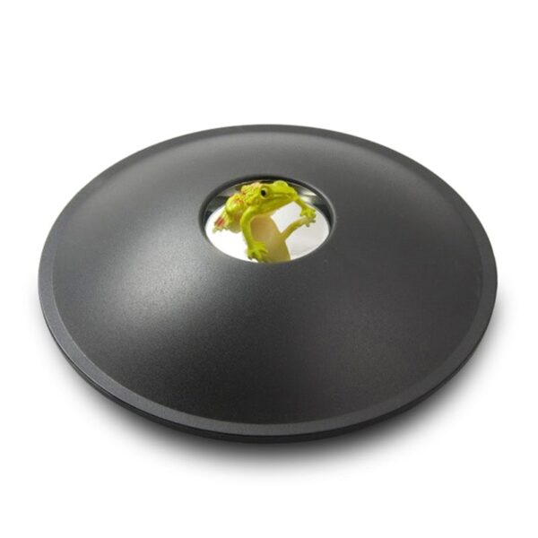 הולוגרמה בגאדג'טים - צעצוע לימודי של הולוגרמה תלת מימד!