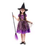 G-0296 (No Broom)