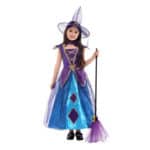 G-0291 (No Broom)