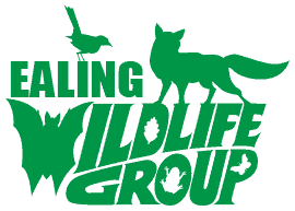 Ealing Wildlife Group