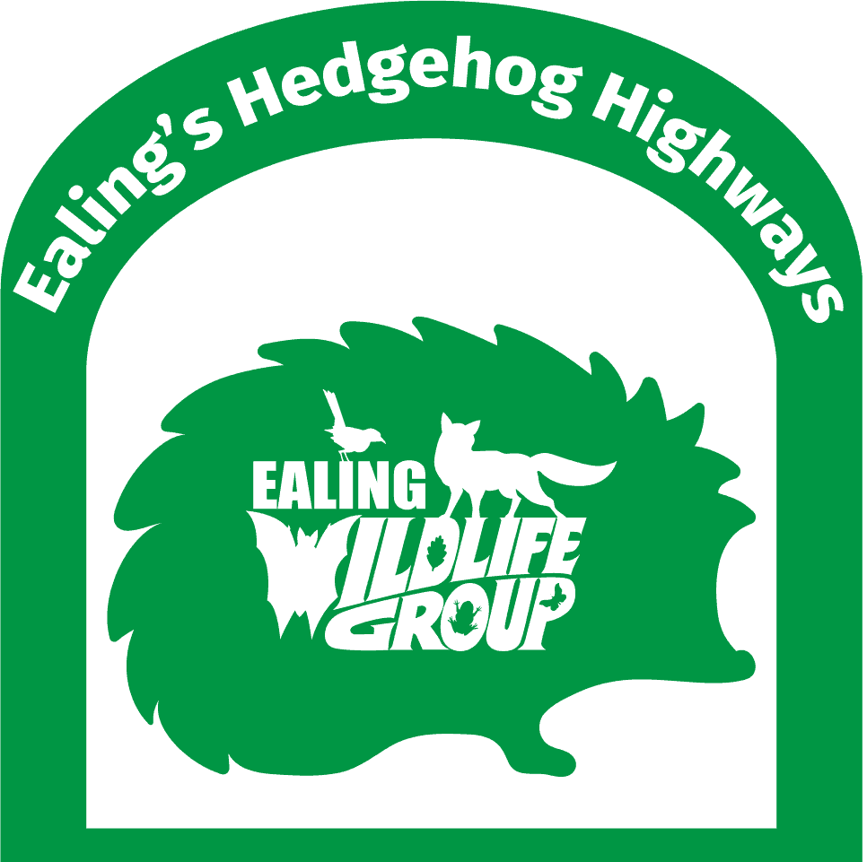 Hedgehog Highways Logo 960px