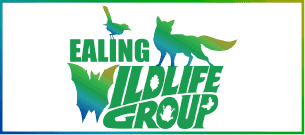 Brand Logo Ewg