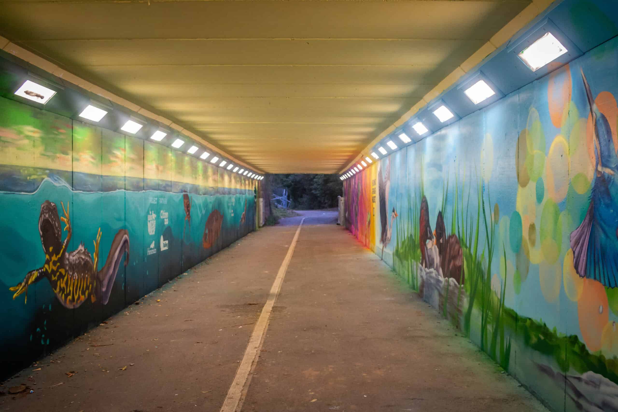 Beaver Tunnel by Caroline Farrow
