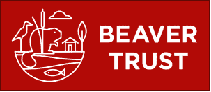 Brand Logo Beaver Trust