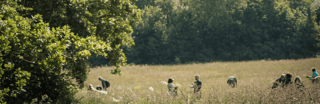 Horsenden Mouse Header3