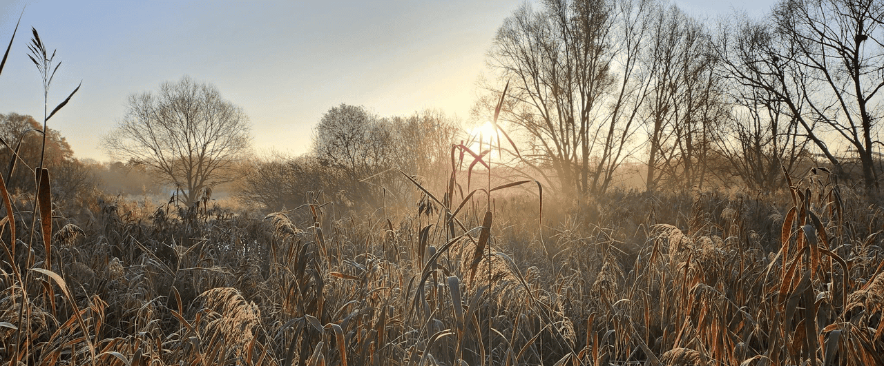 Paradise Fields early morning by Matt Smith