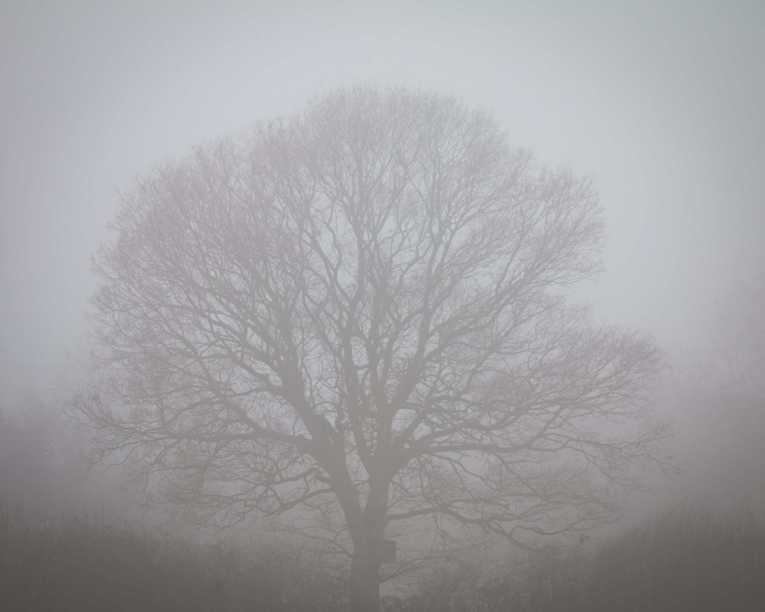 20211219Otmoor20211219untitledIMG_8657-Edit