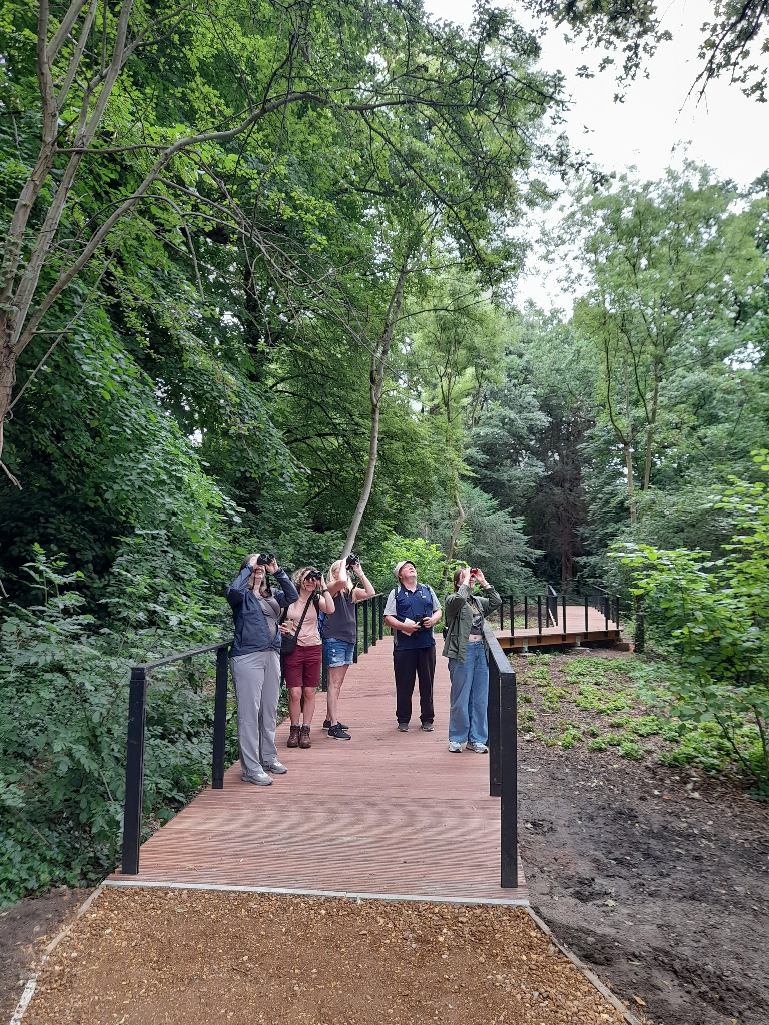 Boston Manor Bird Walk Summer