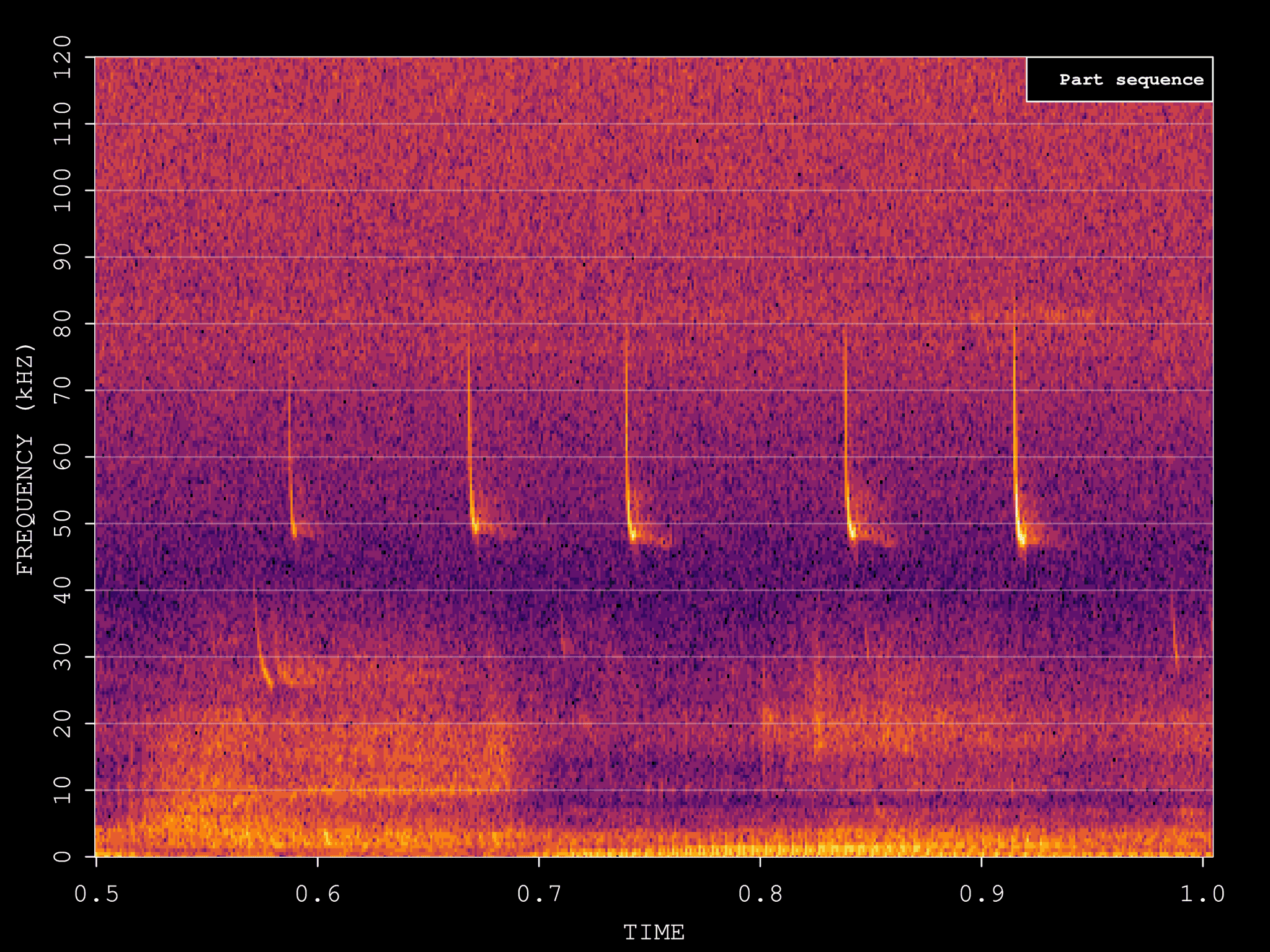Bat Detector