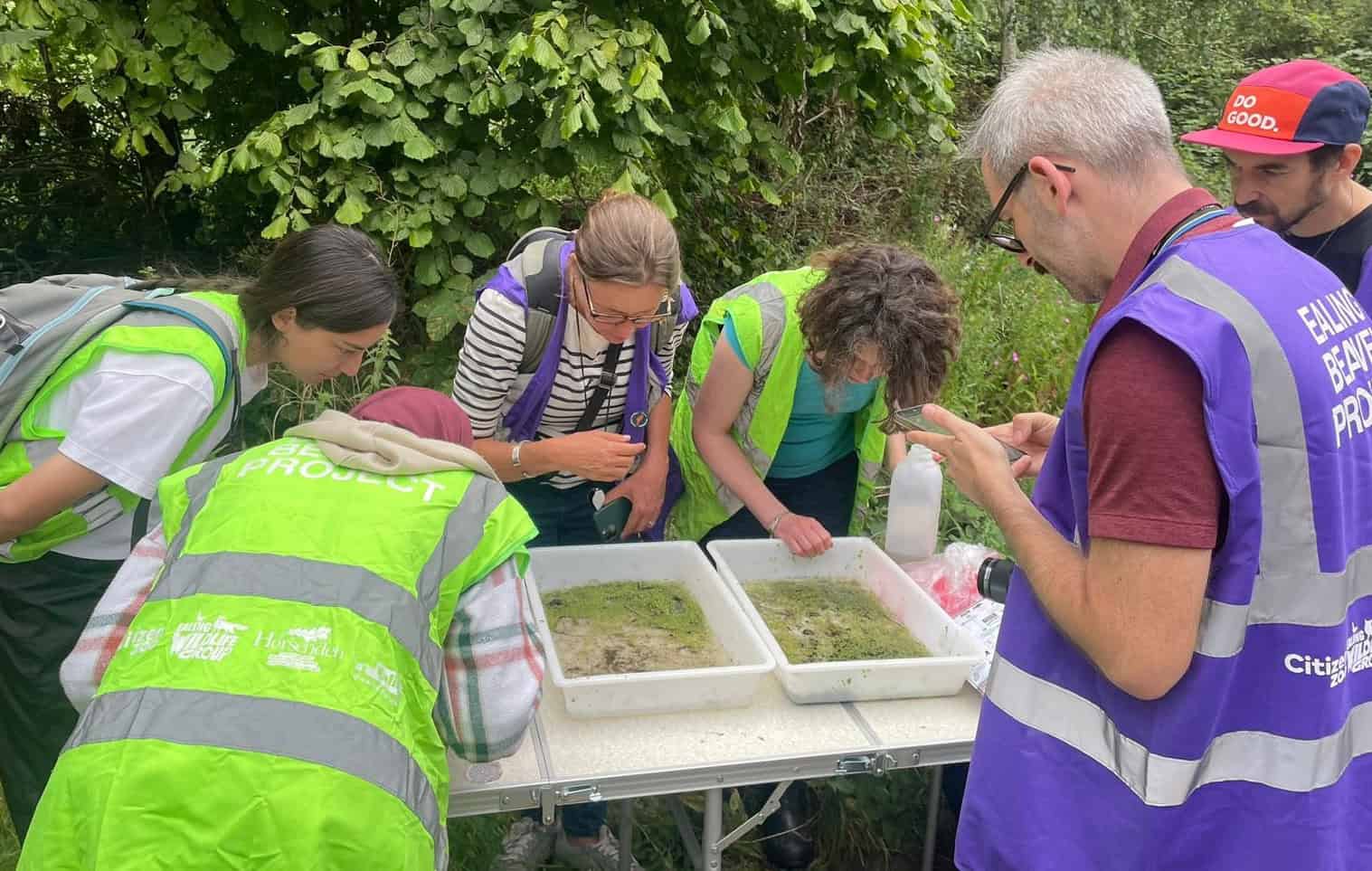 Pond dipping during water quality testing