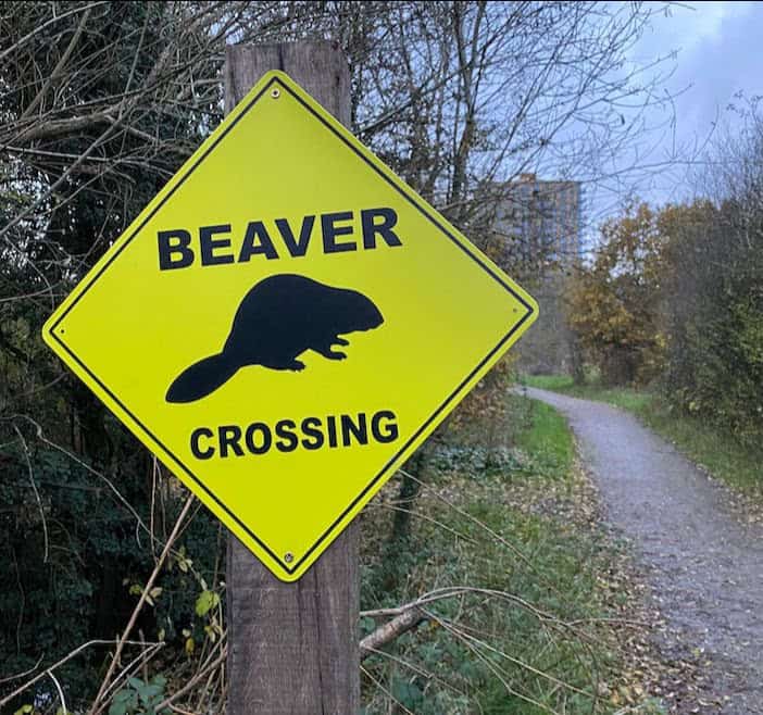 Beaver crossing sign (Photo credit: Sean McCormack)