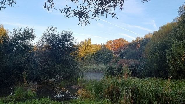 Main pond (Photo credit: Cathy Gilman)