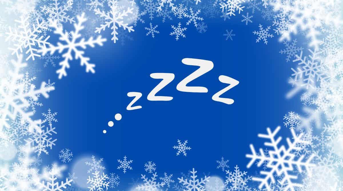 snow and sleep graphic