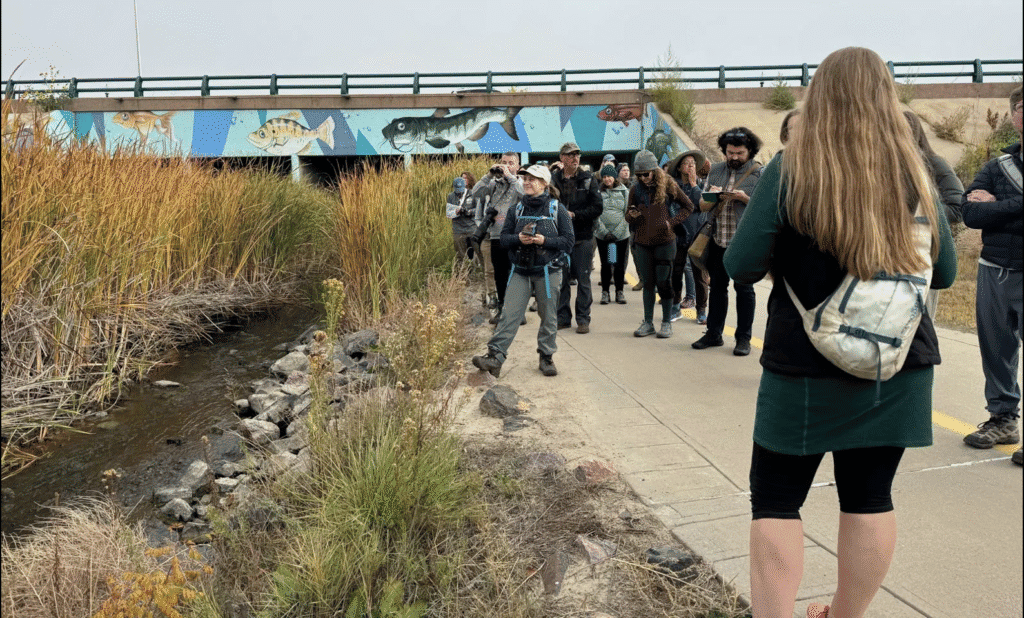 Sean and Nadya on a field trip to see urban Beavers in Boulder