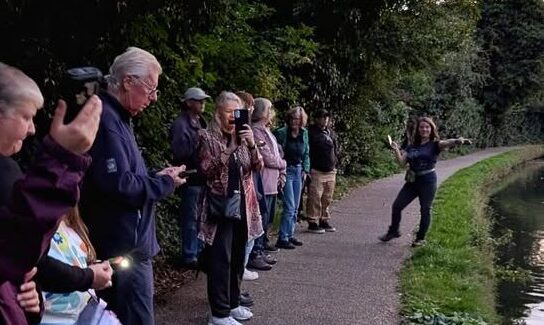 Nadya bat walk