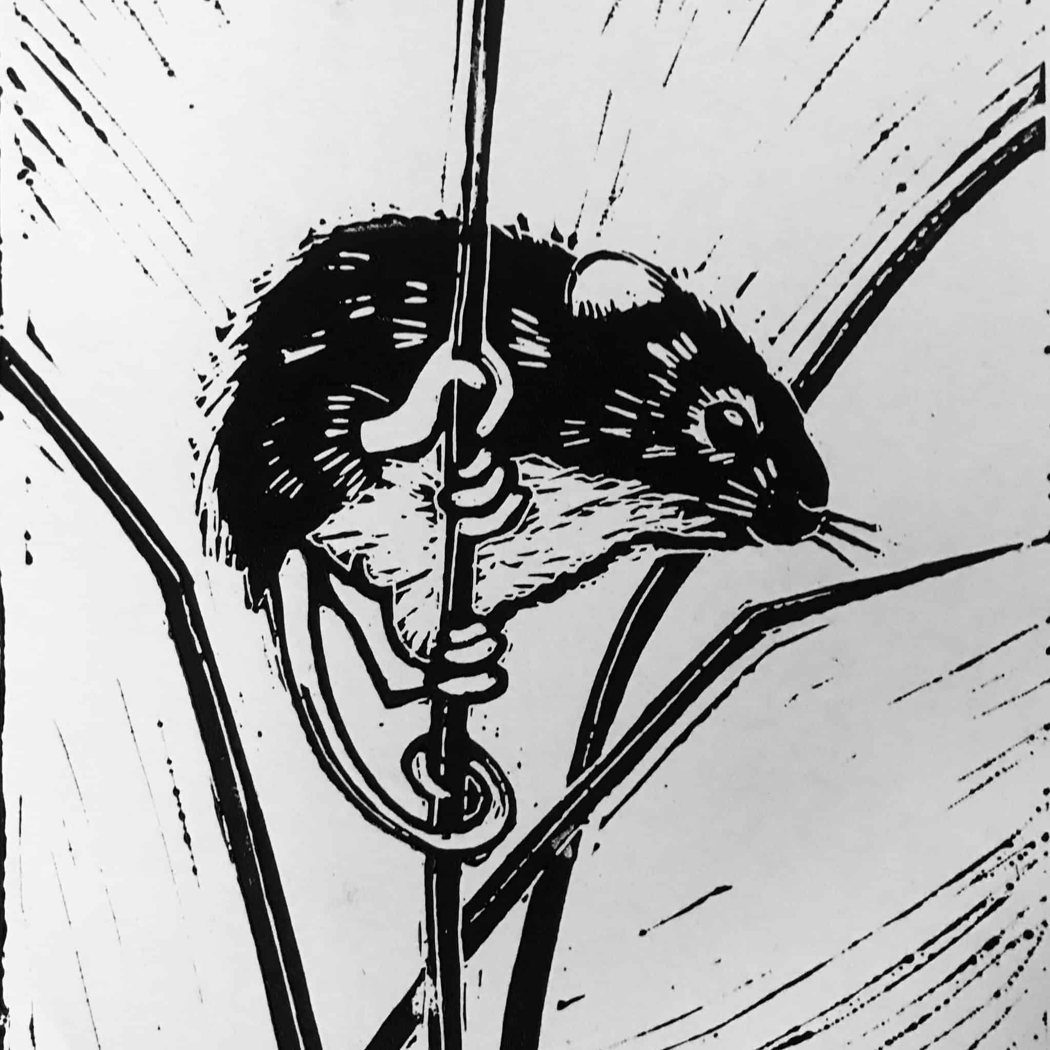 Harvest mouse nest survey