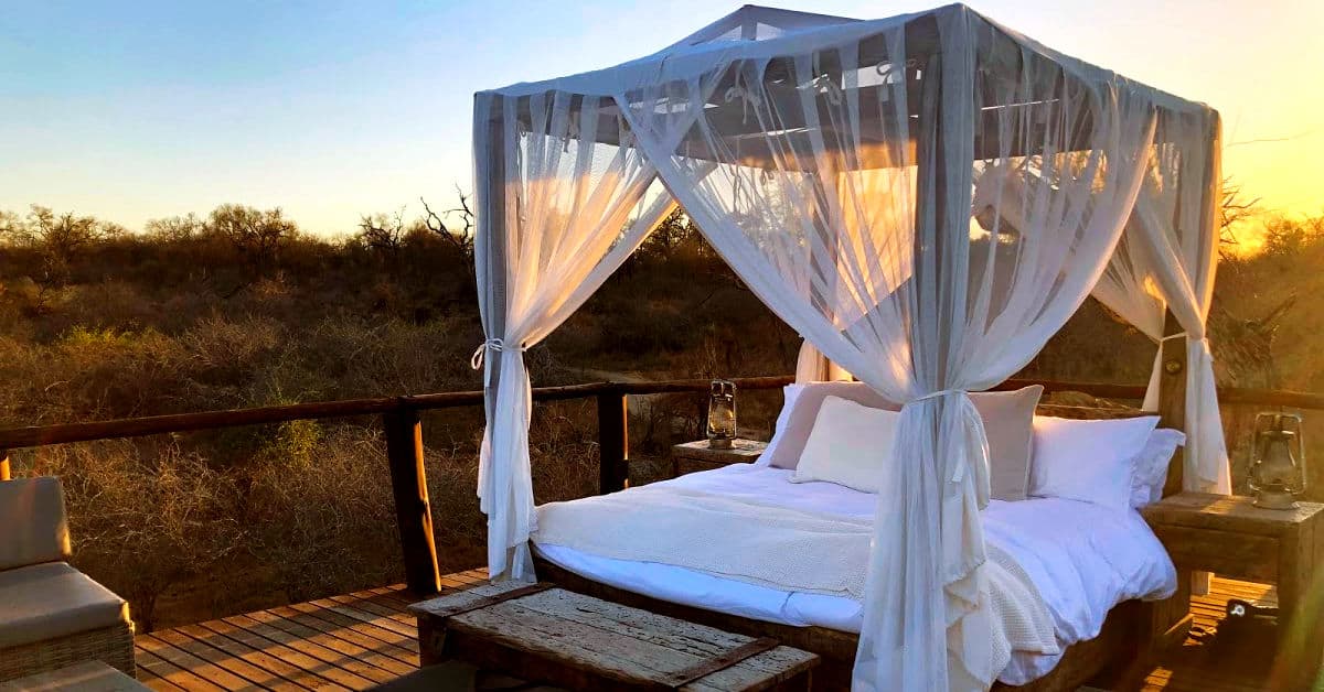 Chalkley Treehouse at sunrise