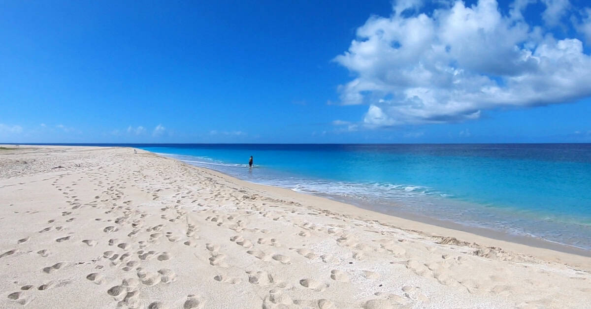 Gorgeous Sandy Point Beach in St Croix USVI
