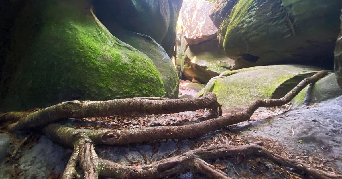 The Great Channels of Virginia Hike