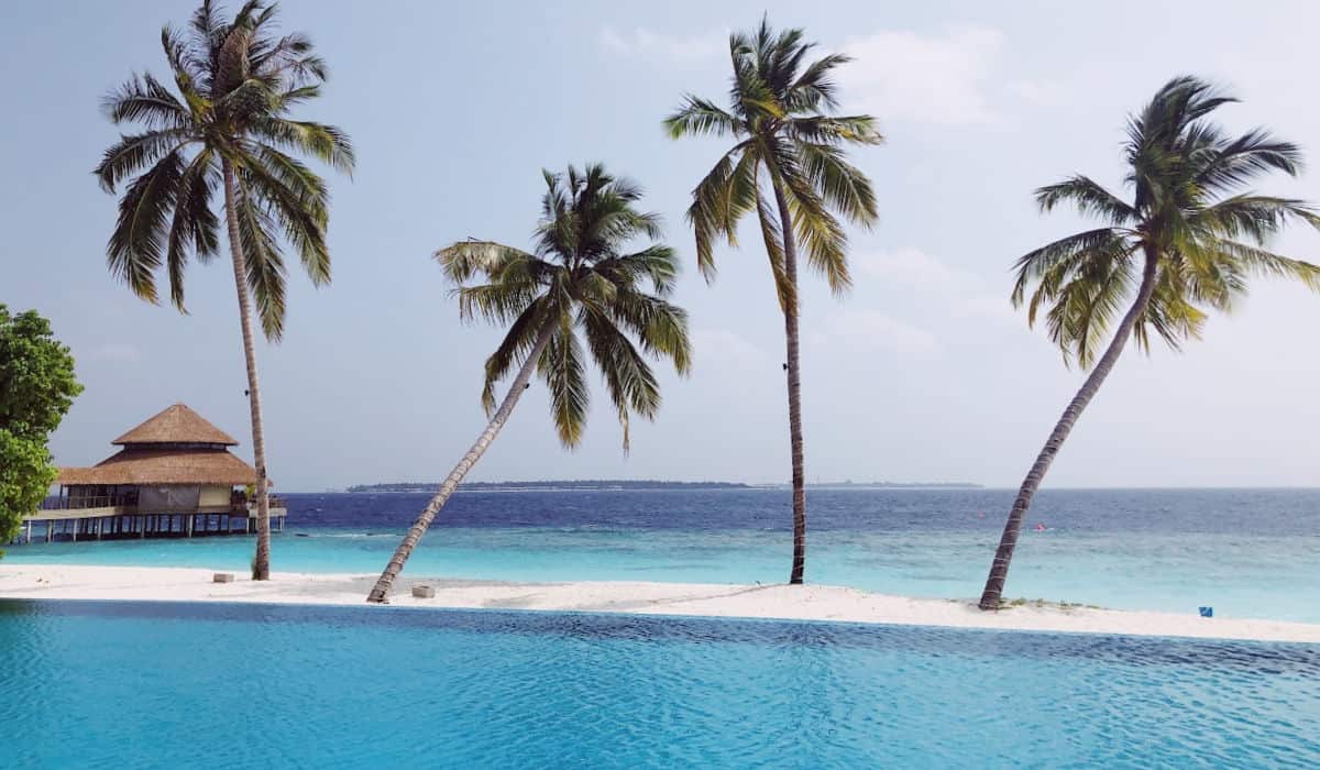 Community Pool at Reethi Faru Resort in the Maldives