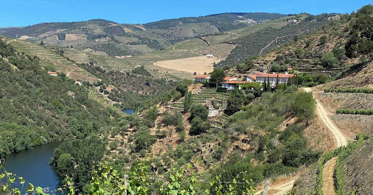 Exploring Douro Valley wine country in Portugal