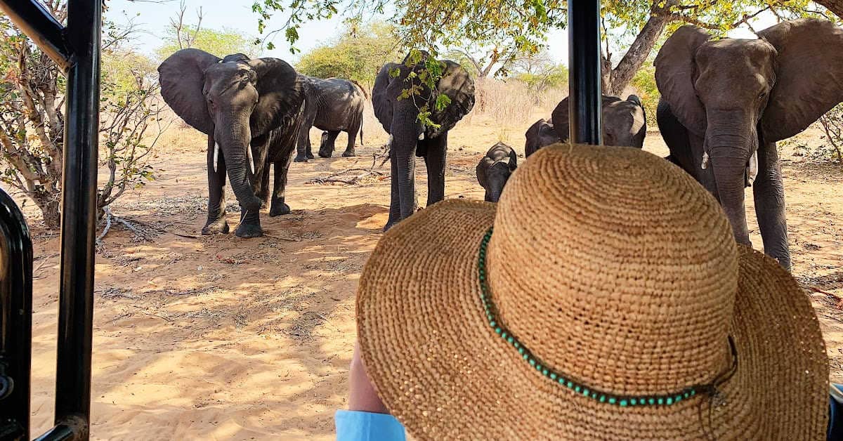 Wearing a safari hat in Chobe National Park Botswana